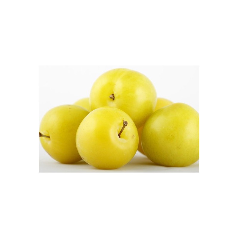 goccia d'oro