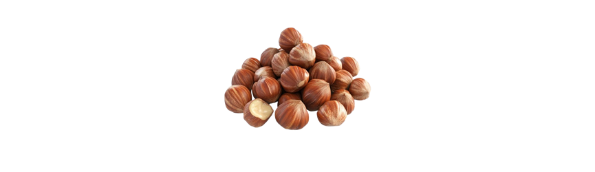 nocciolo